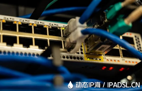 IP地址變換技術(shù)在網(wǎng)絡爬蟲中的應用?